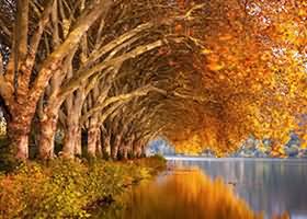 家乡，回忆堆积如山