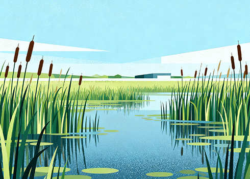 脆弱的顽强：章伟《白血病蟑螂》中的疾病隐喻与生命辩证