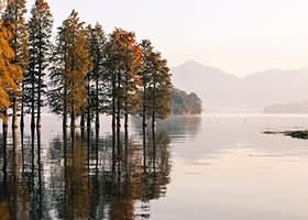 家乡，回忆堆积如山